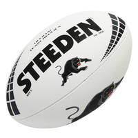 Panthers Replica Team Ball1