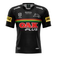 2022 Panthers Men's Replica Home Jersey0