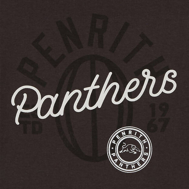 Panthers Youth Puff Print Tee2