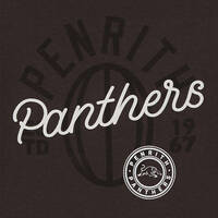 Panthers Youth Puff Print Tee2