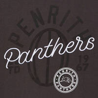 Panthers Women's Embroidered Script Tee3