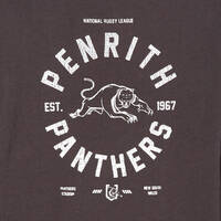 Panthers Youth Long Sleeve Team Print Top3