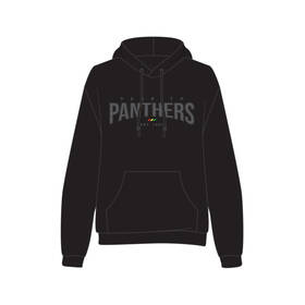 Panthers Youth College Hoodie