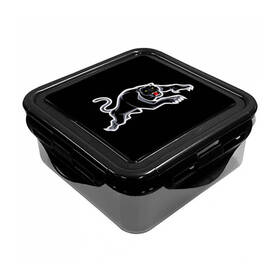 Panthers Snack Container