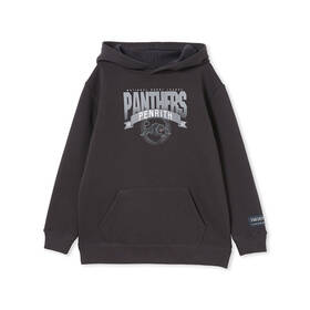 Panthers Youth Team Banner Hoodie