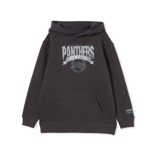 Panthers Youth Team Banner Hoodie0