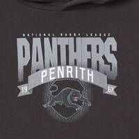 Panthers Youth Team Banner Hoodie2