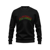 Panthers Youth Crew Neck Jumper0