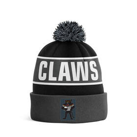 Panthers Youth Claws Beanie