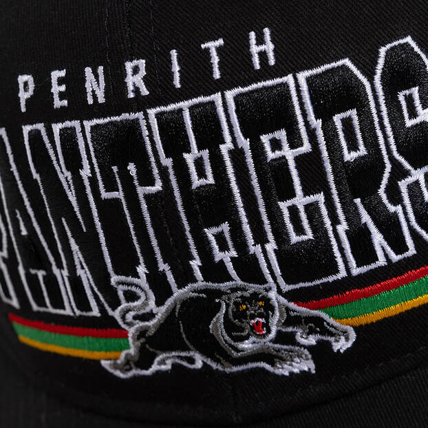 Panthers Youth Wordmark Cap2