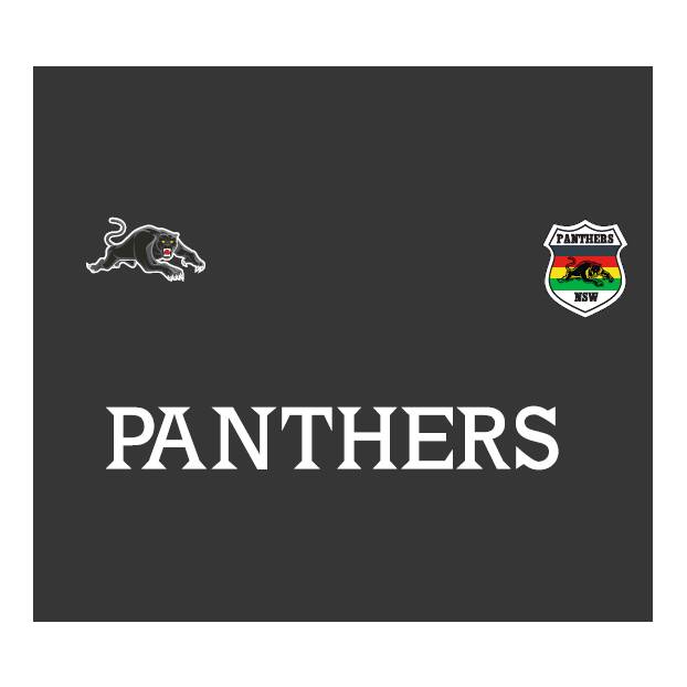 Panthers Men's 1/4 Zip Micro-Fleece2