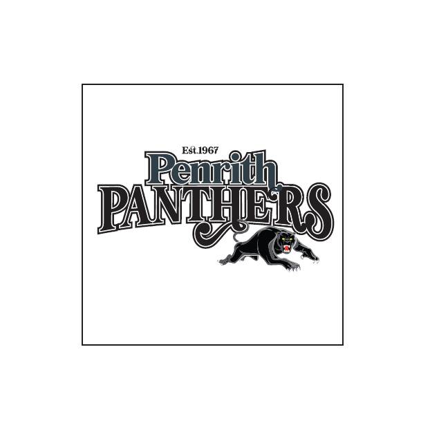 Panthers Womens Cheer Tee2
