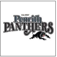 Panthers Womens Cheer Tee2