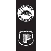 Panthers Youth Multi Badge Zip Through Hoodie4