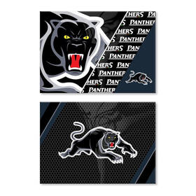 Panthers Set of 2 Magnets