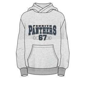 Panthers Youth Fleece Hoodie