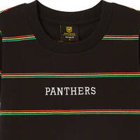 Panthers Youth Club Stripe Tee2
