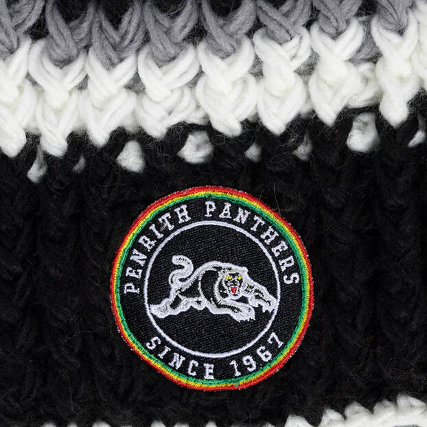 Panthers Adult Novelty Beanie3