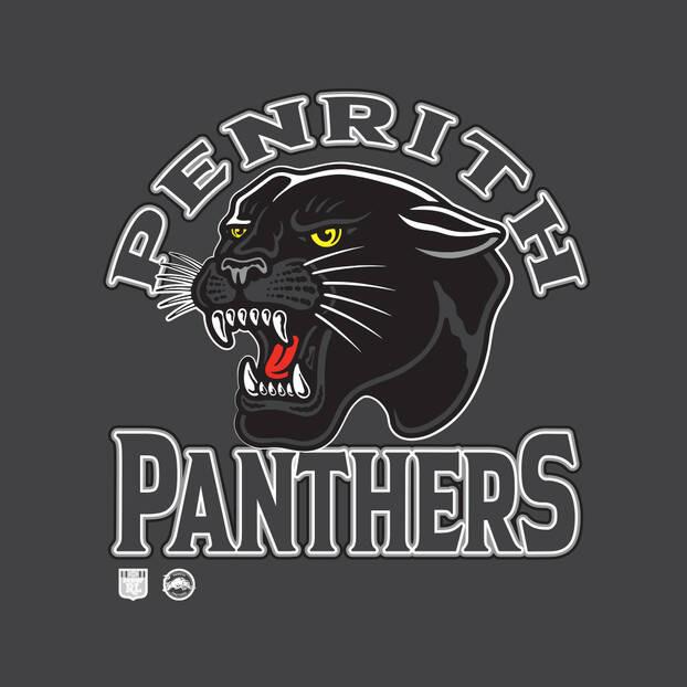 Panthers Adult Retro Colour Block Crew2