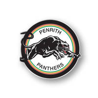Panthers 1991 Heritage Logo Pin0
