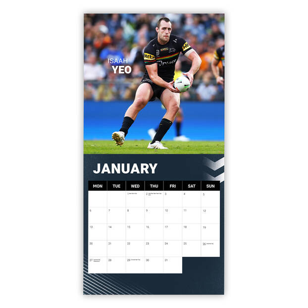 2025 Panthers Calendar2