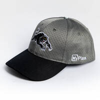 2025 Panthers Training Cap3