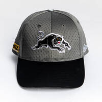 2025 Panthers Training Cap1