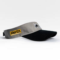 2025 Panthers Training Visor3