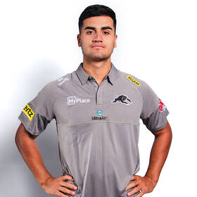 2025 Panthers Men's Grey Media Polo