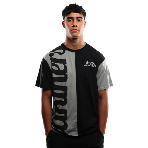 Panthers Men's Oversize Wordmark Tee