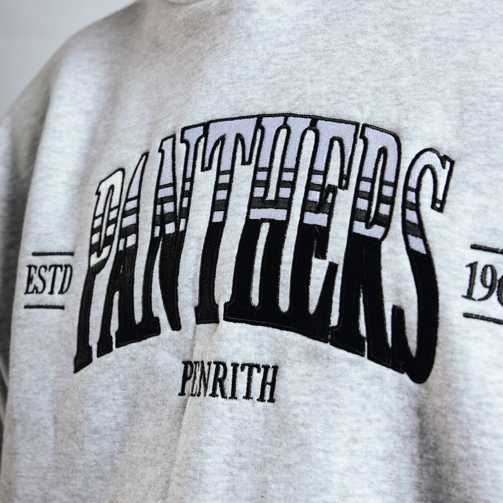 Panthers Adult Banner Hoodie2