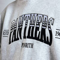 Panthers Adult Banner Hoodie2