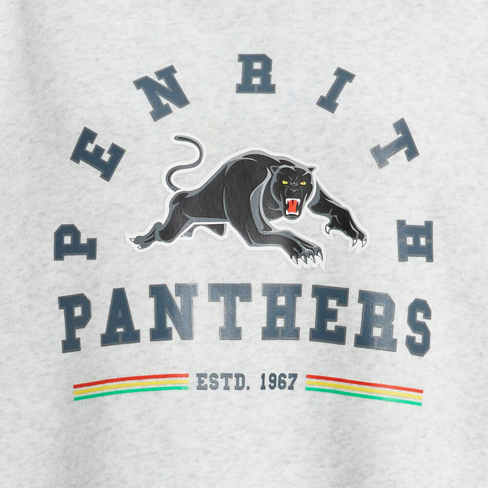 Panthers Adult Oversized Couch Hoodie3