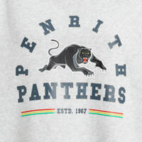 Panthers Adult Oversized Couch Hoodie3